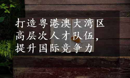 打造粤港澳大湾区高层次人才队伍，提升国际竞争力