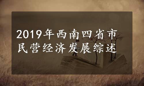 2019年西南四省市民营经济发展综述