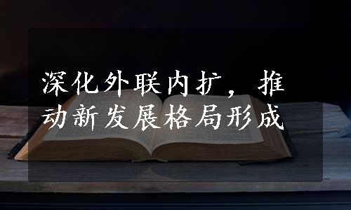 深化外联内扩，推动新发展格局形成