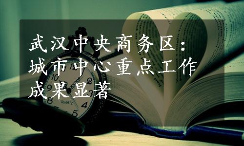 武汉中央商务区：城市中心重点工作成果显著