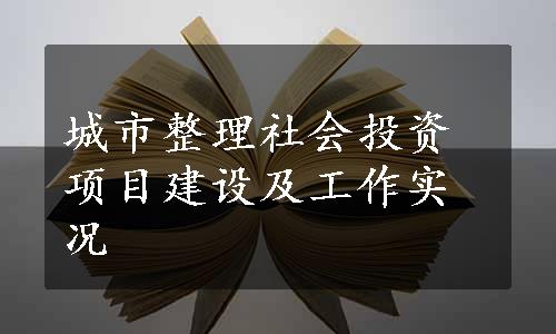 城市整理社会投资项目建设及工作实况