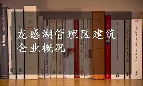 龙感湖管理区建筑企业概况