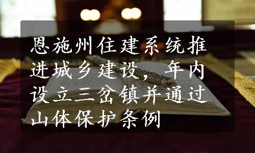 恩施州住建系统推进城乡建设，年内设立三岔镇并通过山体保护条例