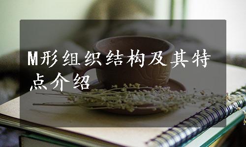 M形组织结构及其特点介绍