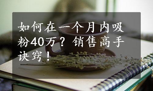 如何在一个月内吸粉40万？销售高手诀窍！