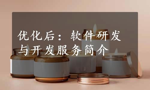 优化后：软件研发与开发服务简介