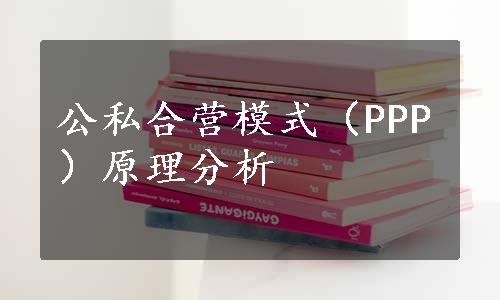 公私合营模式（PPP）原理分析