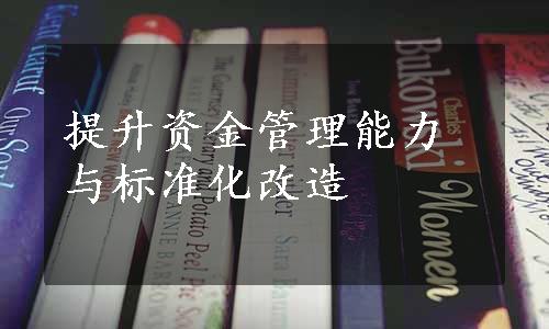 提升资金管理能力与标准化改造