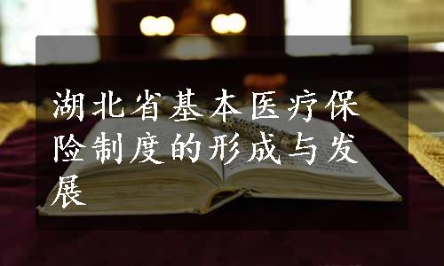 湖北省基本医疗保险制度的形成与发展