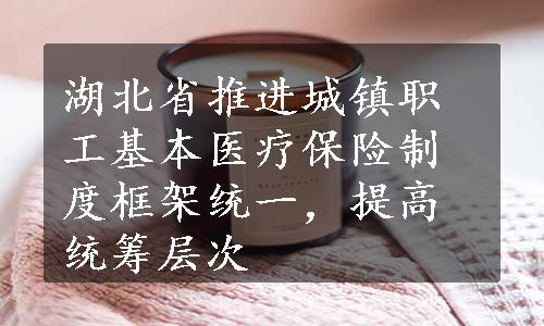 湖北省推进城镇职工基本医疗保险制度框架统一，提高统筹层次