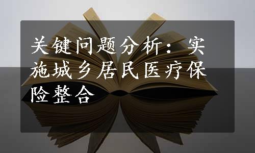 关键问题分析：实施城乡居民医疗保险整合