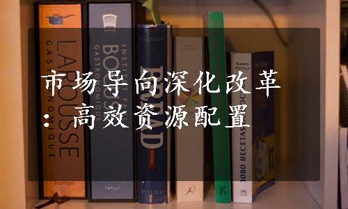 市场导向深化改革：高效资源配置