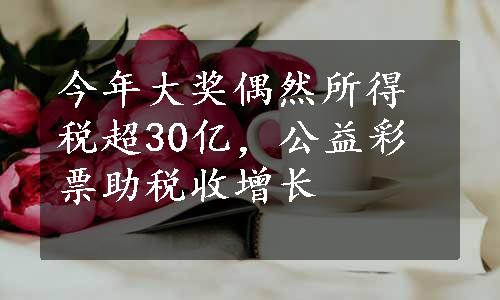 今年大奖偶然所得税超30亿，公益彩票助税收增长