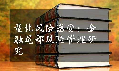 量化风险感受：金融尾部风险管理研究