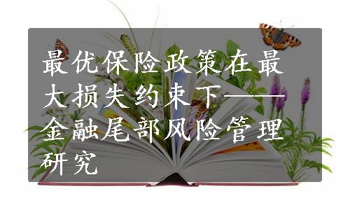 最优保险政策在最大损失约束下——金融尾部风险管理研究