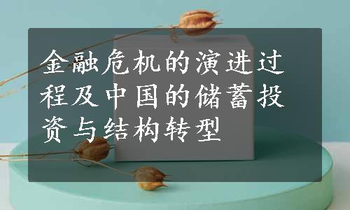 金融危机的演进过程及中国的储蓄投资与结构转型