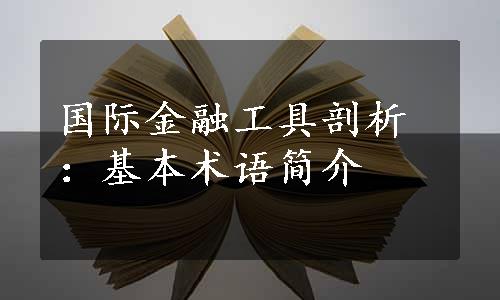 国际金融工具剖析：基本术语简介