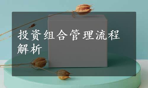 投资组合管理流程解析