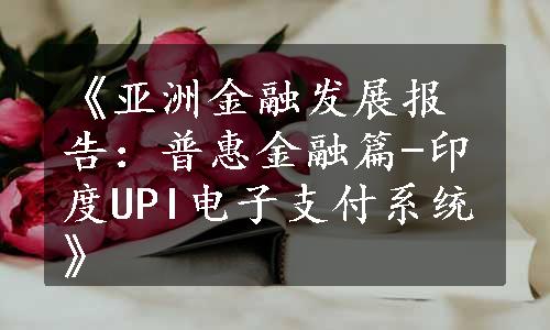 《亚洲金融发展报告：普惠金融篇-印度UPI电子支付系统》