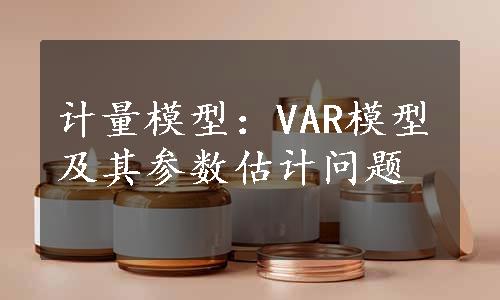 计量模型：VAR模型及其参数估计问题