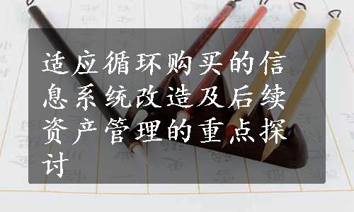 适应循环购买的信息系统改造及后续资产管理的重点探讨