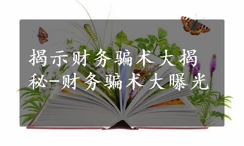 揭示财务骗术大揭秘-财务骗术大曝光