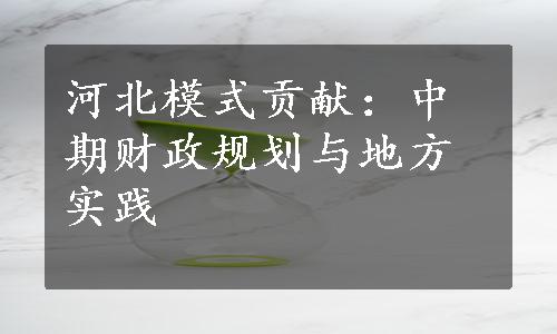 河北模式贡献：中期财政规划与地方实践