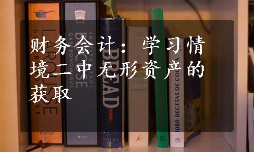 财务会计：学习情境二中无形资产的获取