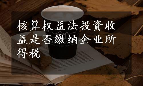 核算权益法投资收益是否缴纳企业所得税