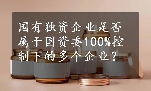 国有独资企业是否属于国资委100%控制下的多个企业？