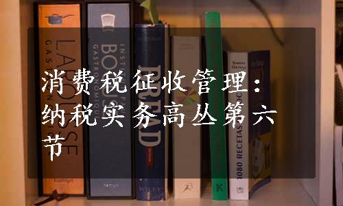 消费税征收管理：纳税实务高丛第六节