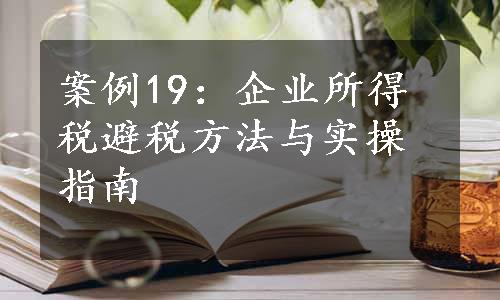 案例19：企业所得税避税方法与实操指南