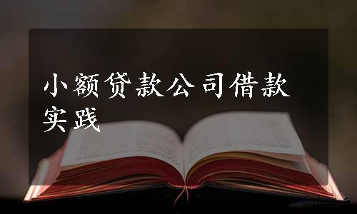 小额贷款公司借款实践