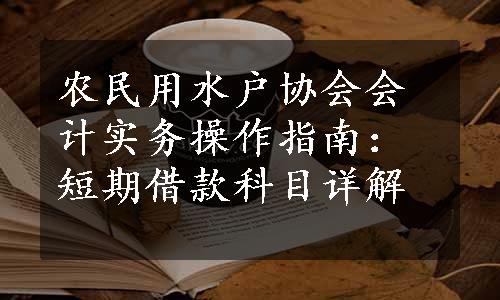 农民用水户协会会计实务操作指南：短期借款科目详解