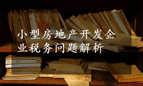 小型房地产开发企业税务问题解析