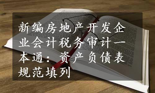 新编房地产开发企业会计税务审计一本通：资产负债表规范填列