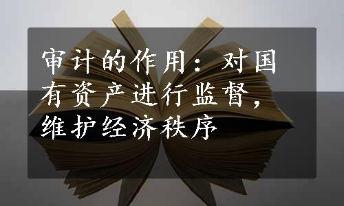 审计的作用：对国有资产进行监督，维护经济秩序