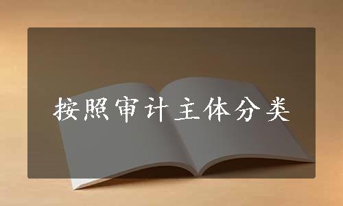 按照审计主体分类