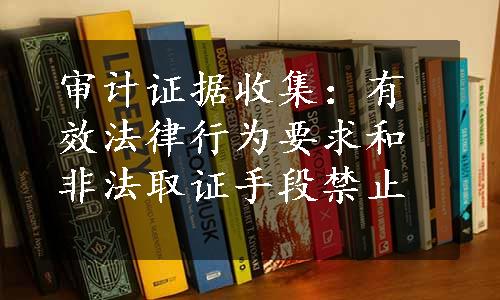 审计证据收集：有效法律行为要求和非法取证手段禁止