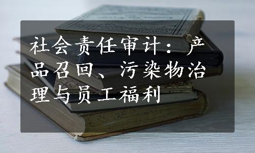 社会责任审计：产品召回、污染物治理与员工福利