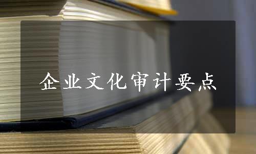 企业文化审计要点