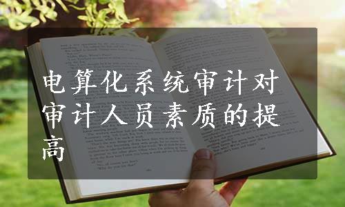 电算化系统审计对审计人员素质的提高