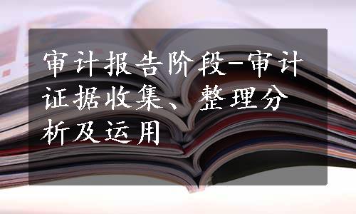 审计报告阶段-审计证据收集、整理分析及运用