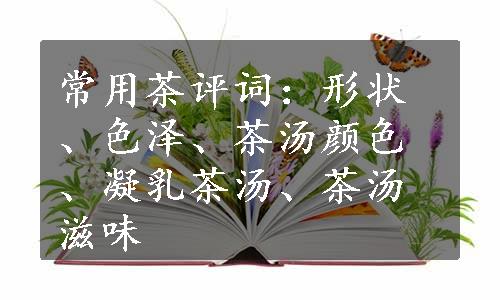 常用茶评词：形状、色泽、茶汤颜色、凝乳茶汤、茶汤滋味