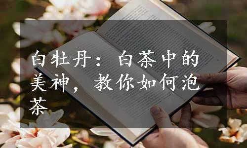 白牡丹：白茶中的美神，教你如何泡茶