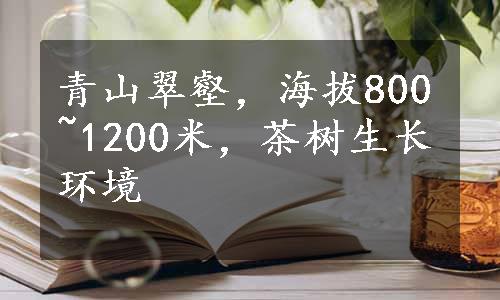 青山翠壑，海拔800~1200米，茶树生长环境