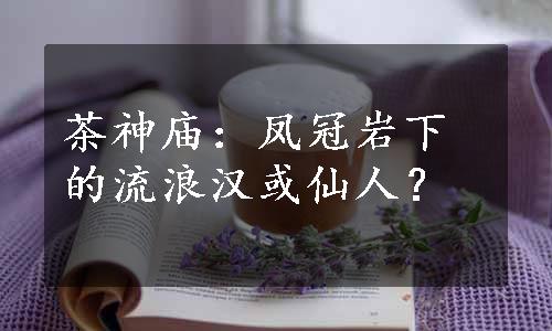 茶神庙：凤冠岩下的流浪汉或仙人？