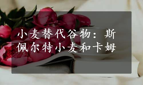 小麦替代谷物：斯佩尔特小麦和卡姆