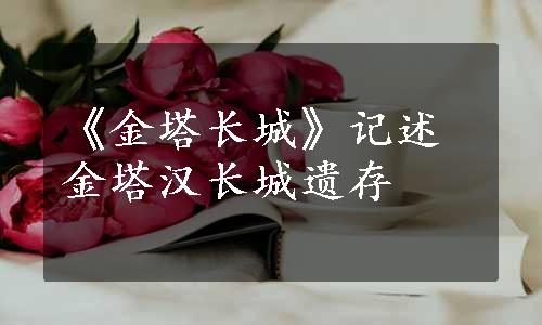 《金塔长城》记述金塔汉长城遗存