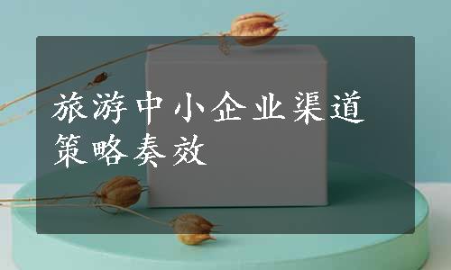 旅游中小企业渠道策略奏效